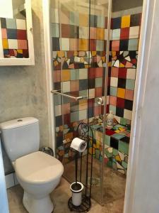 a bathroom with a toilet and a shower at Les capucins de Provins Maison in Provins