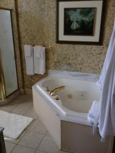 a bathroom with a bath tub and a sink at Main Street Bed & Breakfast in Hannibal