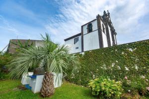 a church with a palm tree in front of a building at Casa Silke in Vila Franca do Campo