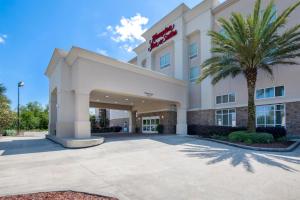 a hotel with a palm tree in front of a building at Hampton Inn & Suites Harvey New Orleans Westbank in Harvey