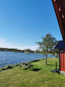 a picnic table on the grass near a lake at Stuga1-6 Dalskärs camping Badrum i Servicehus in Bergkvara +20 photos