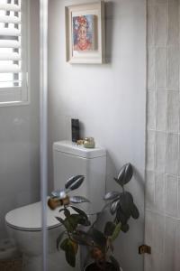 a bathroom with a toilet and a plant in it at Dornoch House, Gowrie Village in Nottingham Road +30 photos