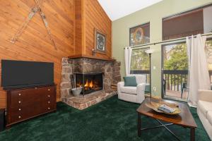 a living room with a fireplace and a television at Sun Song 3F in Fraser