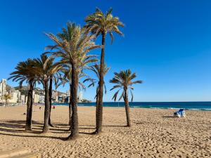 a group of palm trees on a sandy beach at Apartments 1 & 2 Bedrooms, Gemelos 2 & 4, Levante Beach by Gestaltur in Benidorm