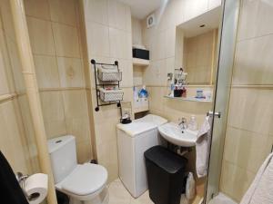 a small bathroom with a toilet and a sink at Mieszkanie na Alei in Głogów