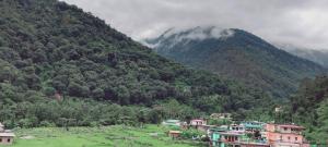 a group of houses in front of a mountain at Hotel Dharohar in Gopeshwar