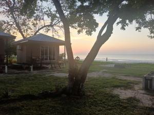 a house with a tree in front of the ocean at Kudat Beach House 5 in Kudat +18 photos