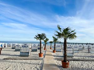 a row of chairs and palm trees on a beach at Yunis Landhaus in Grömitz