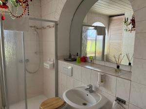 ein Badezimmer mit Waschbecken, Dusche und Toilette in der Unterkunft Grüne Villa in Kromlau + 25 Fotos