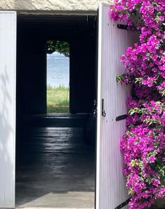 an open door with purple flowers on a building at Havre de paix au bord de létang de Thau avec vue-magnifiques couchers de soleil-et accès direct et privé à l'eau-possibilité de se garer gratuitement dans la rue in Sète
