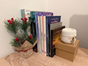 a shelf with books and a vase with a christmas tree at Cepas do Salgueiral - Guest House - Apartamento Centro de Tondela in Tondela +8 photos
