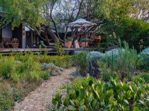 a garden with a table and an umbrella at Kamala Karoo Sanctuary in Barrydale