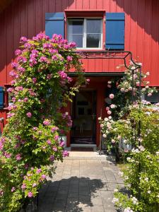 a red building with flowers in front of a door at Ursulas BnB Hemberg View in Hemberg +31 photos