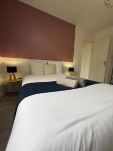 a large white bed in a room with two lamps at Le Thannaron in Bourg-lès-Valence