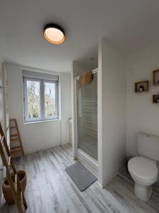 a bathroom with a toilet and a glass shower at Le Thannaron in Bourg-lès-Valence