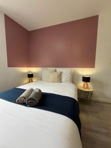 a bedroom with a large bed with two pillows on it at Le Thannaron in Bourg-lès-Valence