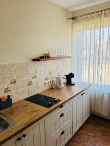a kitchen with a counter with a tea kettle on it at Old Willows in Ventspils