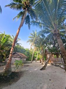 a group of palm trees on a sandy beach at Kombrof Homestay & Dive Center in Waisai