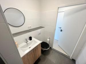 a bathroom with a sink and a mirror and a toilet at Appartement Daalseweg in Nijmegen