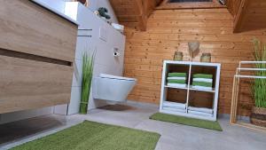 a bathroom with a toilet and a wooden wall at Ferienhaus Sepp in Regen +30 photos