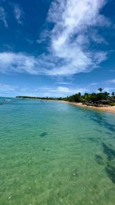 a view of a beach with trees and the water at Pousada Meu Sossego in Barra Grande