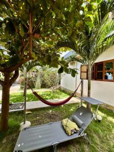 a hammock tied to a tree in a yard at Hotel Eyram Kpalime in Palimé