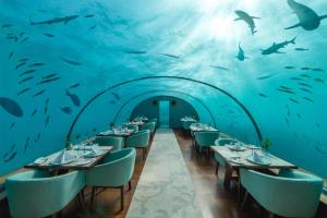an underwater restaurant with fish in the ceiling at Conrad Maldives Rangali Island in Mandhoo