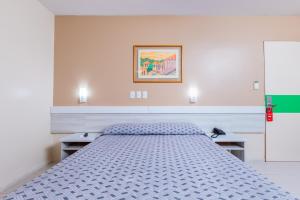 a bedroom with a large bed in a room at Hotel Suárez Executive Novo Hamburgo in Novo Hamburgo