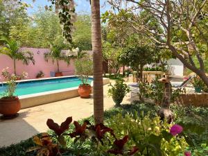 a garden with a swimming pool and some plants at Villa La Somone piscine jardin personnel sur place in Somone