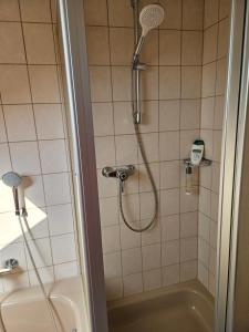 a shower with a shower head in a bathroom at Lieblingsplatz in Ebersburg +9 photos