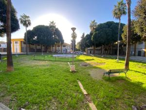 a park with a bench and palm trees at Miamar in Seville