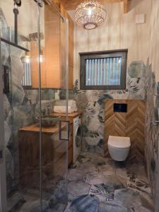 a bathroom with a shower and a toilet at Kocimiętka - dom z widokiem in Mazówki