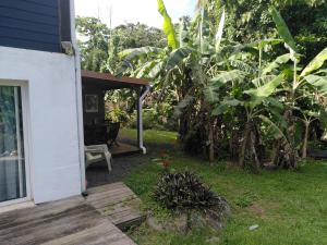 a porch of a house with a bunch of banana trees at Studio dans la forêt tropicale in Les Anses-dʼArlets +10 photos