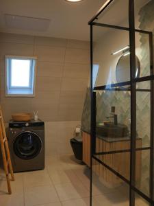 a bathroom with a washing machine and a sink at Vino Chalets Bran in Sohodol +57 photos