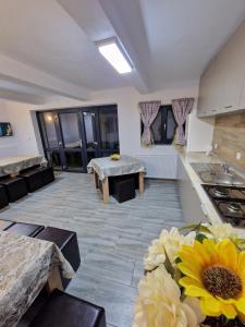 a large kitchen with a table and a counter top at Popasul Ursului Zărnești in Zărneşti