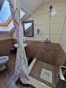 a bathroom with a shower and a toilet at Popasul Ursului Zărnești in Zărneşti