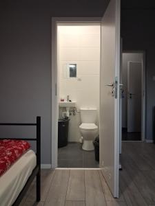 a bathroom with a toilet and a sink at Jugata in Rudna Wielka +29 photos