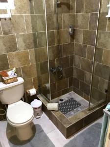 a bathroom with a shower with a toilet at Independent, central studio Apt3-A in El Seis