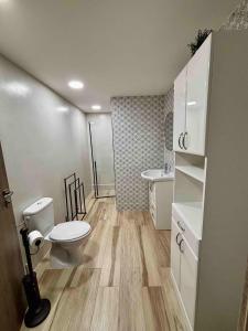 a bathroom with a toilet and a sink at Apartmán U Štýbnarů in Bulhary