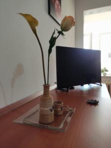 a vase with a flower on a table next to a tv at "Babbo" Nicola in Salve