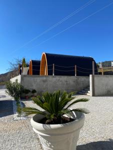 a plant in a white pot sitting on a patio at Triarca Vinum House in Sabrosa