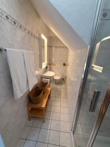 a bathroom with a shower and a sink and a toilet at AL BOCCALINO Bed & Breakfast Melide Lugano Ticino in Melide +59 photos