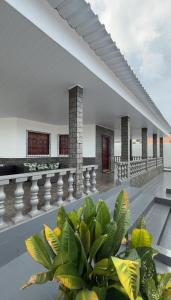 a white building with a balcony with a plant at Casarão Figueiredo in Presidente Figueiredo