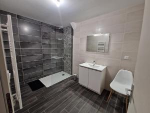a bathroom with a shower and a sink and a mirror at La maison du Lac in Louin +10 photos