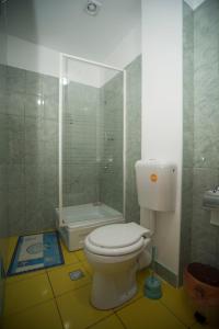 a bathroom with a toilet and a shower at Hostel Ruxandra in Focşani +33 photos