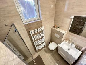 a small bathroom with a toilet and a sink at Gesztenye Apartman in Makó +64 photos