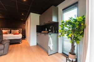 a kitchen and a bedroom with a bed and a plant at Tiny boat house #2 in Garnwerd