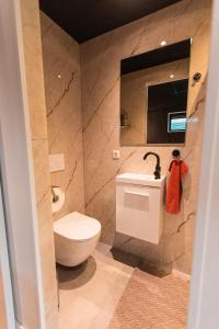 a bathroom with a toilet and a sink and a mirror at Tiny boat house #2 in Garnwerd +29 photos