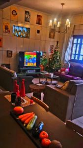 a living room with a christmas tree and a television at Carcará Hostel Ipanema - Zona Sul POA in Porto Alegre