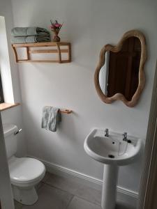 a bathroom with a toilet and a sink and a mirror at Mountain hideaway in Finny